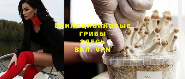 круглые Белокуриха