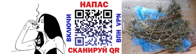 МАРИХУАНА планчик Вельск